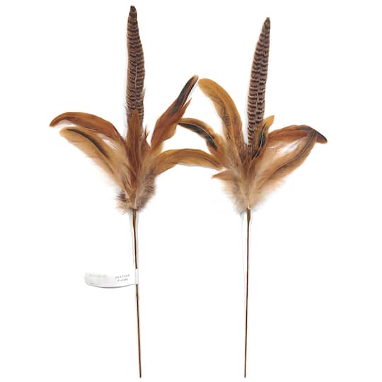 12 Pack: 2ct. (24 total) 23" Feather Picks by Ashland®
